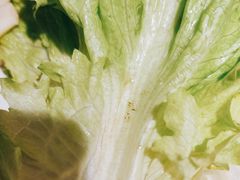 -海天牧场(银川商城店)