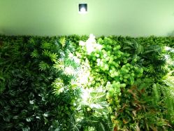 洗头区域-M Hair造型