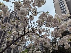 -木塔寺遗址生态公园