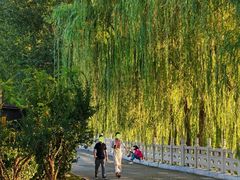 -汉长安城未央宫国家考古遗址公园