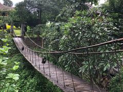 -大树秋千