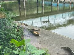-广州长隆飞鸟乐园