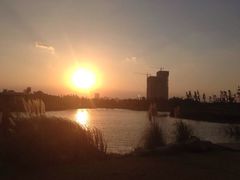 iphone_upload_pic-尚贤河湿地