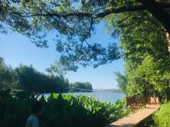 -东湖落雁景区