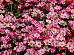 -上海浦江郊野公园·1号停车场