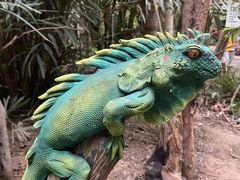 -呀路古热带植物园