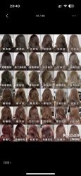 -GANO HAIR 