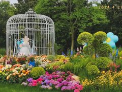 -上海共青森林公园