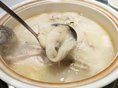 竹荪老鸭锅-gleeglee乐溢亦茶(合生汇店)