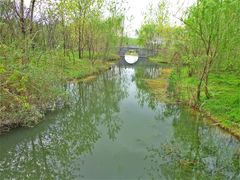 -溱湖国家湿地公园