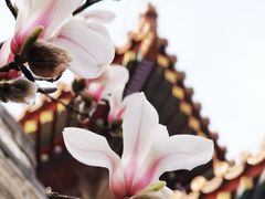 -东华门大街小区