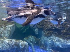 -福州罗源湾海洋世界旅游区