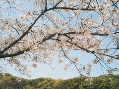 -苏州上方山国家森林公园