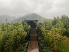 -大唐贡茶院