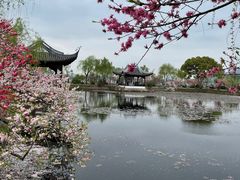 -无锡蠡湖国家湿地公园-蠡园