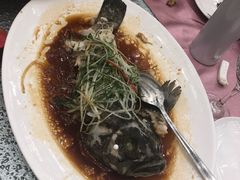 -厦门喜来登酒店