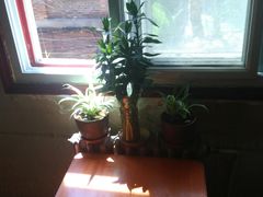 -胖哥料理(兴义里店)