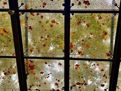 -河南省黄河迎宾馆