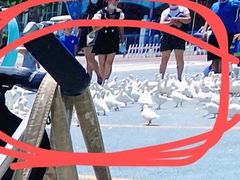 -烟台海昌鲸鲨海洋公园