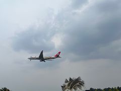 -空港花田景区
