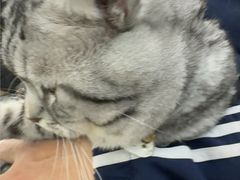 -全心全意连锁动物医院·微创中心·内科急重症·心脏专科(丰管路店)