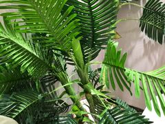 -藏猫猫咖啡主题馆(中央大道店)