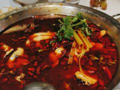 -蛙一刀·麻椒鱼火锅(金仙桥店)