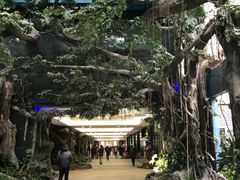 -碧桂园总部(碧江大桥店)