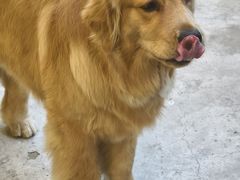 -后院儿·精酿·塔罗Happy Bar