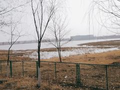 -绿堤公园
