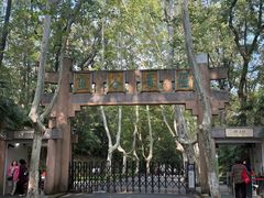 -灵谷景区