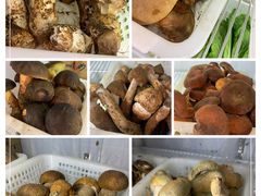 -菌之家·专业纯野生菌火锅·特色炒菌