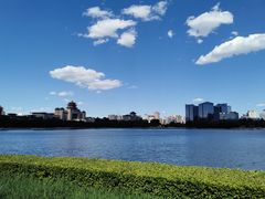 -莲花池公园