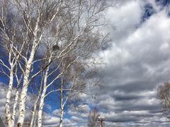 -塞罕坝国家级自然保护区