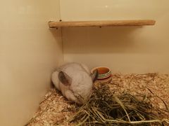 -龙猫仔乐园(惠福东路店)