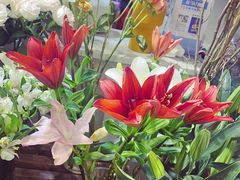 -谷莠子花艺气球派对·绿植造景·花艺沙龙(东海缤纷天地店)