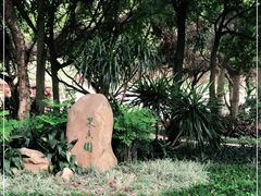 -云溪植物园