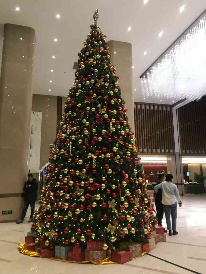 万世名流酒店-普拉那餐厅-"为了避开人多的地方,来过几次,环境好,就.