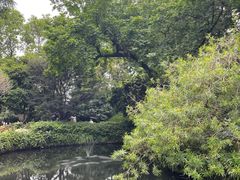 -广州兰圃
