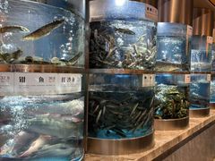 -老船舫·现做活鲜鱼馆(东郊记忆店)