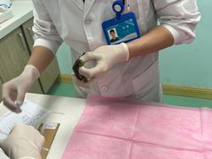 -北京观赏动物医院·24小时大型综合·猫专科·异宠专科