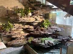 -山水茶艺馆·点心粤菜·30年老字号