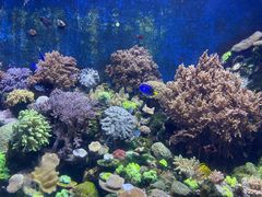 -珠海长隆海洋王国