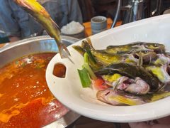 -老凯俚酸汤鱼(鸿通城店)