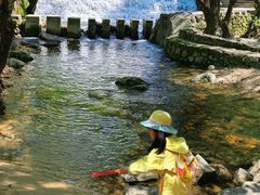 -少华山国家森林公园