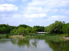 -贡湖湾湿地公园