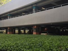 -上海虹桥国际机场1号航站楼-P2停车场