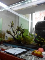 android_upload_pic-小左美发