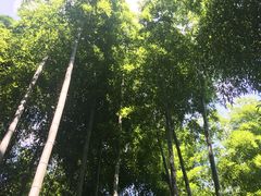 -山沟沟景区