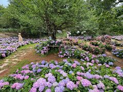 -名花谷生态庄园